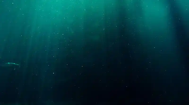 Zone des abysses du poulpe dumbo